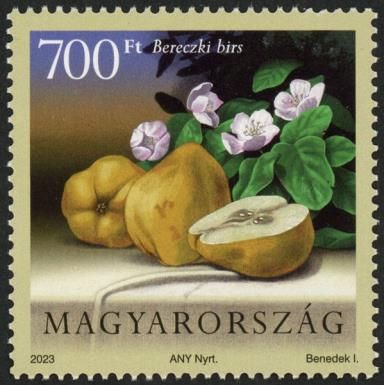 Bereczki Quince