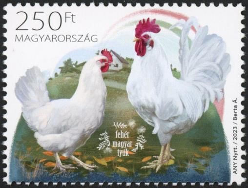 White Hungarian