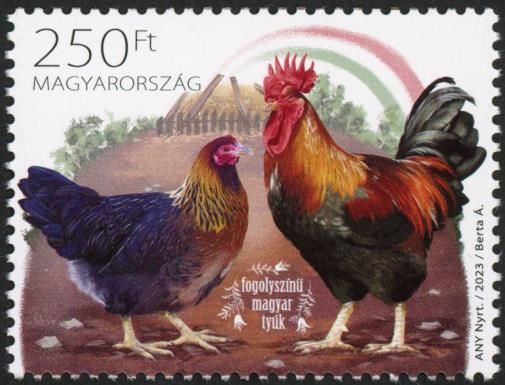 Partridge-Colored Hungarian