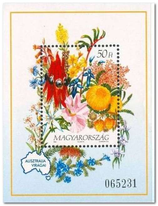 Bouquet of flowers