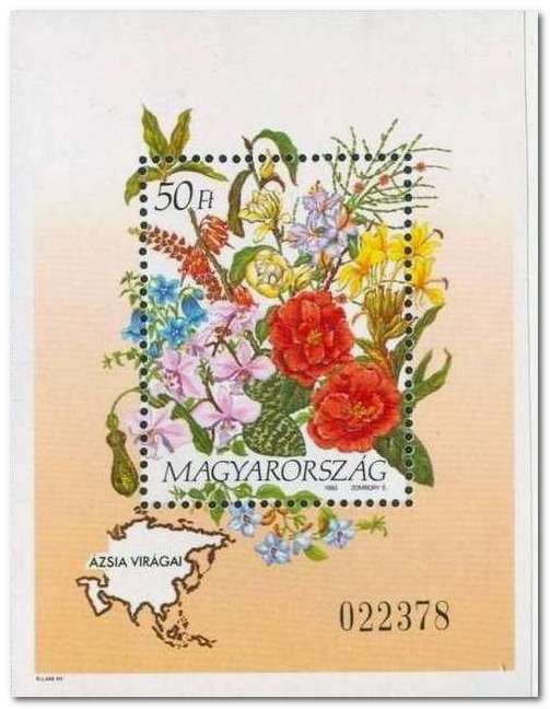 Bouquet of flowers