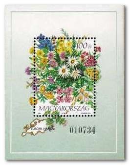 Bouquet of flowers