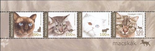 Cats (Felis silvestris catus)