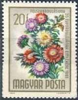 Postage due