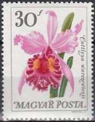 Postage due, inscription 7,4 mm long