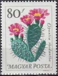 Postage due
