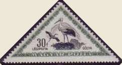 White Stork (Ciconia ciconia)