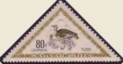 Great Bustard (Otis tarda)