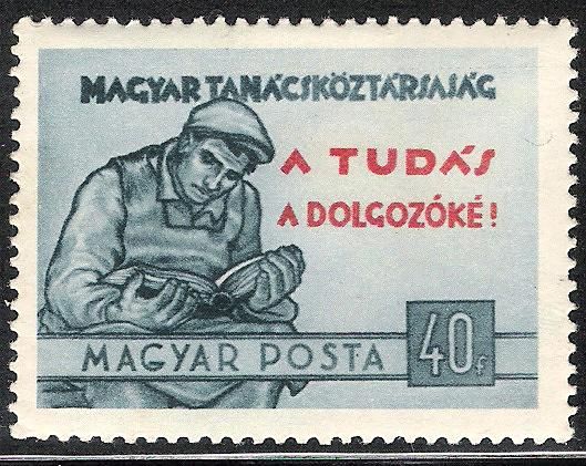 Worker reading a book