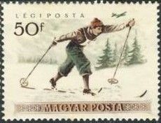 Cross-country Skiing