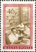 Worker in the reading room