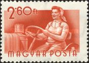 Woman tractor driver