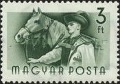 Horse (Equus ferus caballus) and Groom