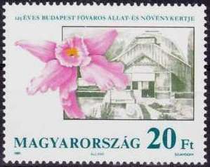 Brunswick Castle, Martonvásár