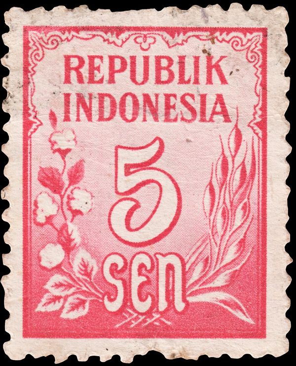 Rice and Cotton
