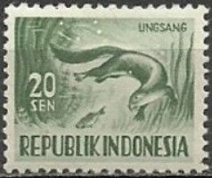 Smooth-coated Otter (Lutrogale perspicillata)