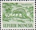 Sunda Pangolin (Manis javanica)