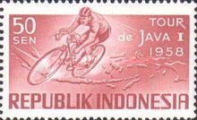 Racing Cyclist