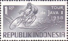Racing Cyclist