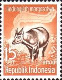 Lowland Anoa (Bubalus depressicornis)