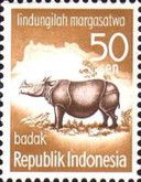 Sunda Rhinoceros (Rhinoceros sondaicus)