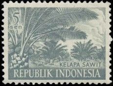 Oil Palm (Kelapa Sawit)