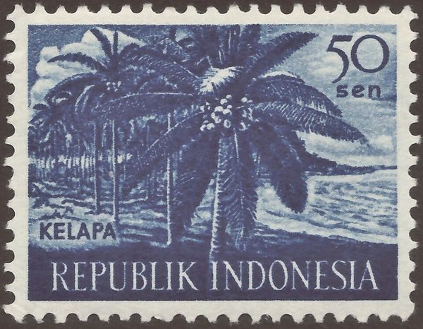 Coconut (Cocos nucifera)