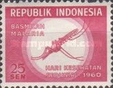 Anopheles Mosquito (Anopheles sp.)