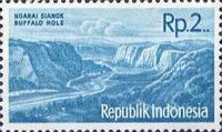 Tourist- Buffalo Hole