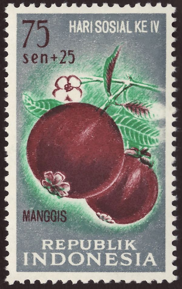 Manggis