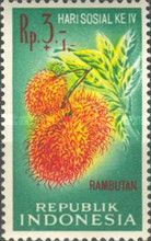 Rambutan