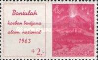 Bali Volcano Disaster Fund