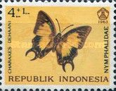 Butterfly (Charaxes dehaani)