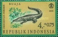 Saltwater Crocodile (Crocodylus porosus)
