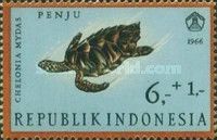 Green Sea Turtle (Chelonia mydas)