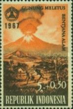 National Disaster Fund - Volcan Ljen (Java)