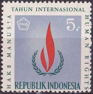International Human Rights Year