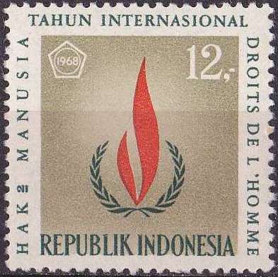 International Human Rights Year