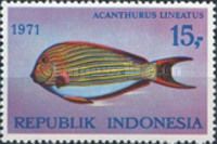 Blue-lined Surgeonfish (Acanthurus lineatus)