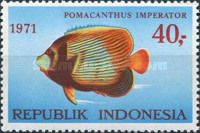 Emperor Angelfish (Pomacanthus imperator)