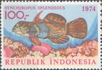 Mandarinfish (Synchiropus splendidus)
