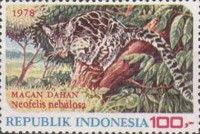 Macan Dahan (Neofelis nebulosa)