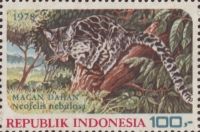 Macan Dahan (Neofelis nebulosa)