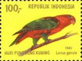 Chattering Lory (Lorius garrula)
