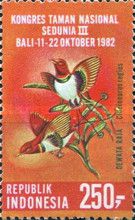 King Bird-of-paradise (Cincinnurus regius)