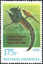 Black Sicklebill (Epimachus fastuosus)