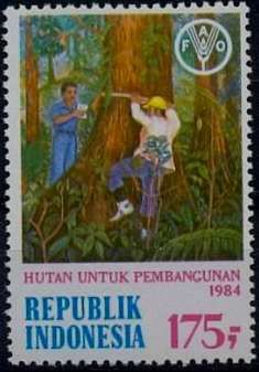 Forestry Resources