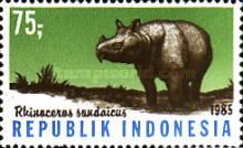 Javan Rhinoceros (Rhinoceros sondaicus)