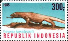 Komodo Dragon (Varanus komodoensis)