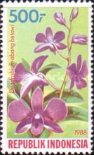 Dendrobium "Abang Betawi"